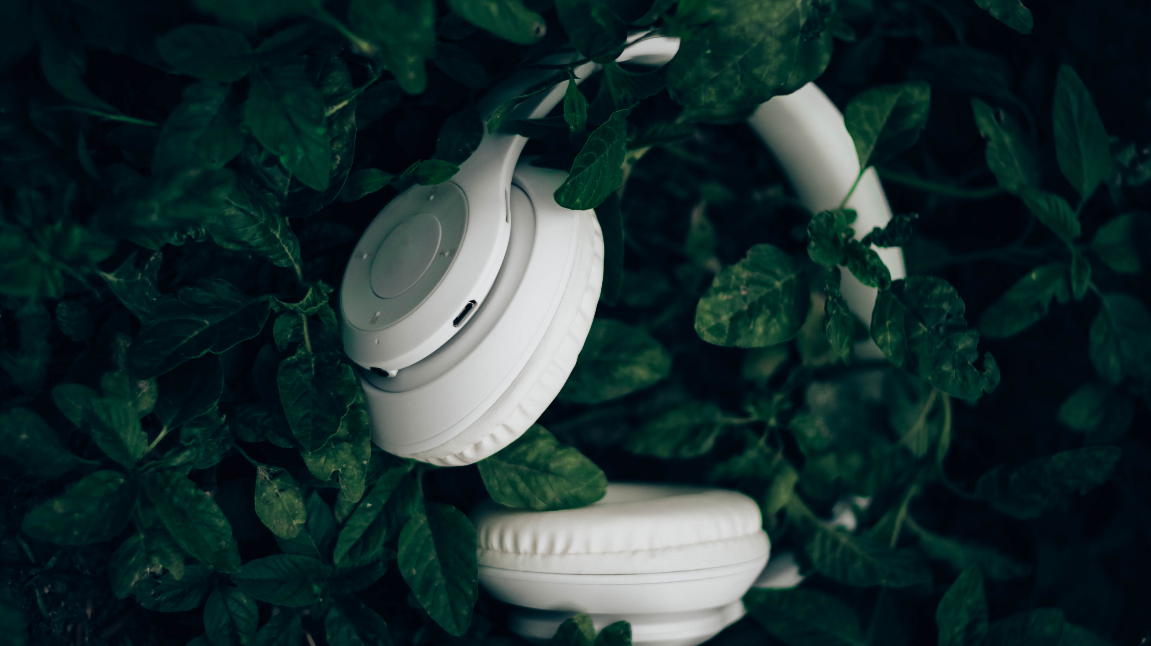 slider image 1621243260e1af0c20-2